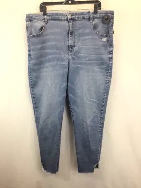 Blue Denim Jeans Skinny American Eagle, Size 22