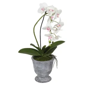 Faux Orchid in Clay Pot